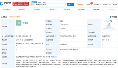 阿里成立一錘定音科技公司，劍指抖音“數字化底座”？繼“京西”后布局再引關注
