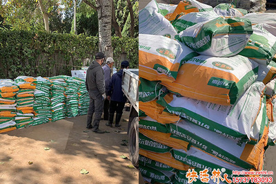 園林綠化用的樹(shù)木涂白劑哪里買(mǎi)？這些渠道你一定要知道